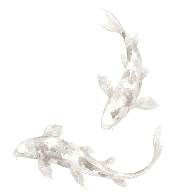 conatus_Koi_1.png