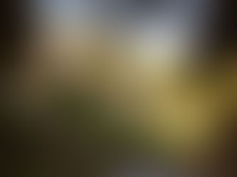 Architectural Elegance: Embracing the Majesty of Mediterranean Design Principles