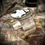 Thumbnail: Ladies White Buffalo & Sterling Silver Textured Cuff