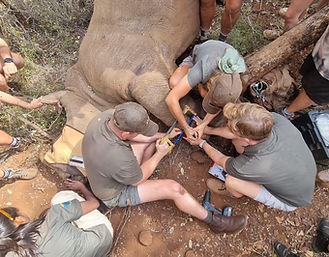 IMG-20260416-WA0008 overhead intervention.jpg