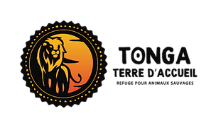 Tonga lgo 50-2048x2048.png