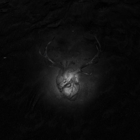 2-1 DeerJoy 【生】EP 封面.jpg