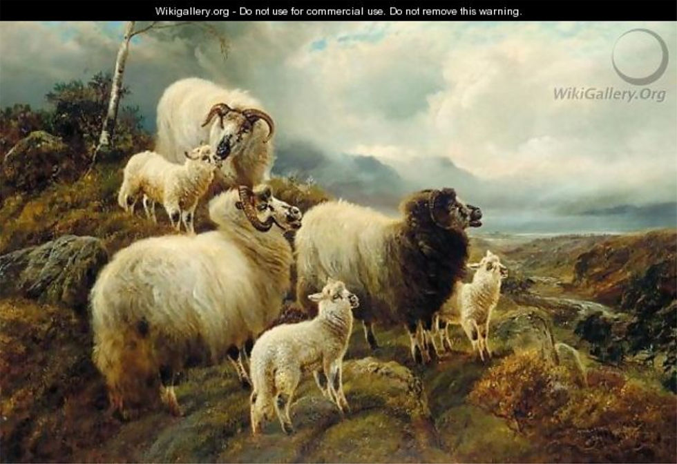 Sheep In A Highland Landscape
