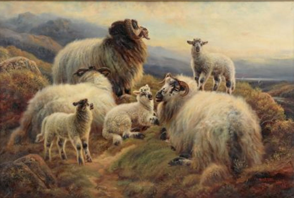 Landscape with sheep