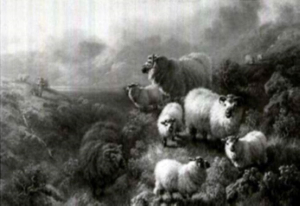 1909 Rannoch Moor, Perthshire