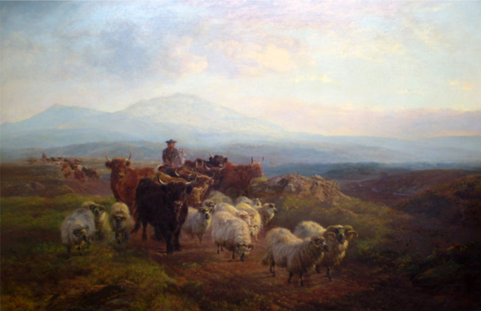 Droving in the Highlands