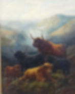 Highland Cattle
