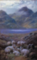 Sheep in a Highland Hillside