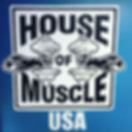 FINAL HOMUSA LOGO!!!.JPG