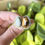Thumbnail: Courage, Peace | Varscite & Tigers Eye Doublet Ring