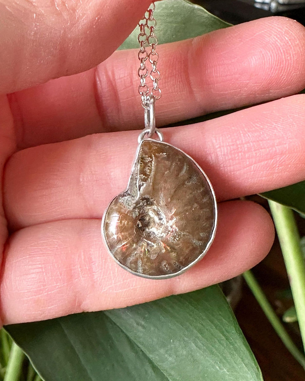 Thumbnail: Change is the only constant... Opalized Ammonite Fossil Pendant