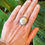 Thumbnail: Soul Meets Body | Fossilized Sea Urchin Ring