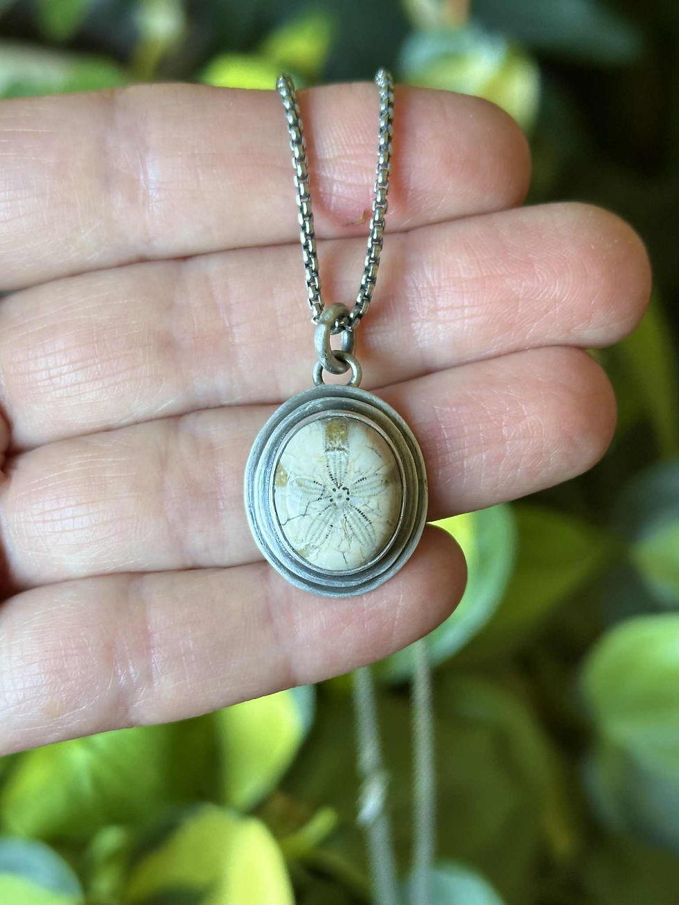 Flow | Fossilized Sea Urchin Pendant