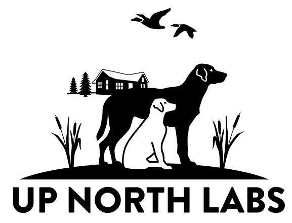 Logo_UpNorthLabs_Final_edited.jpg