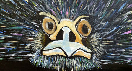 Portrait of emu looking directly at viewer with black background.
