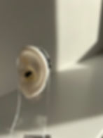 ree