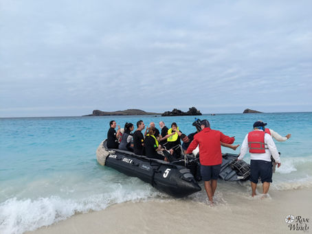 What is Expedition Travel?