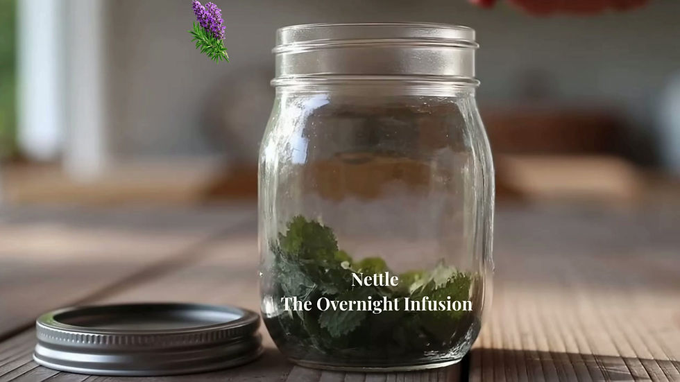 Fri. Nettle The Long Infusion 169.mp4