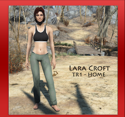 laratr1home