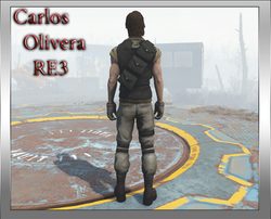 carlosbackrend