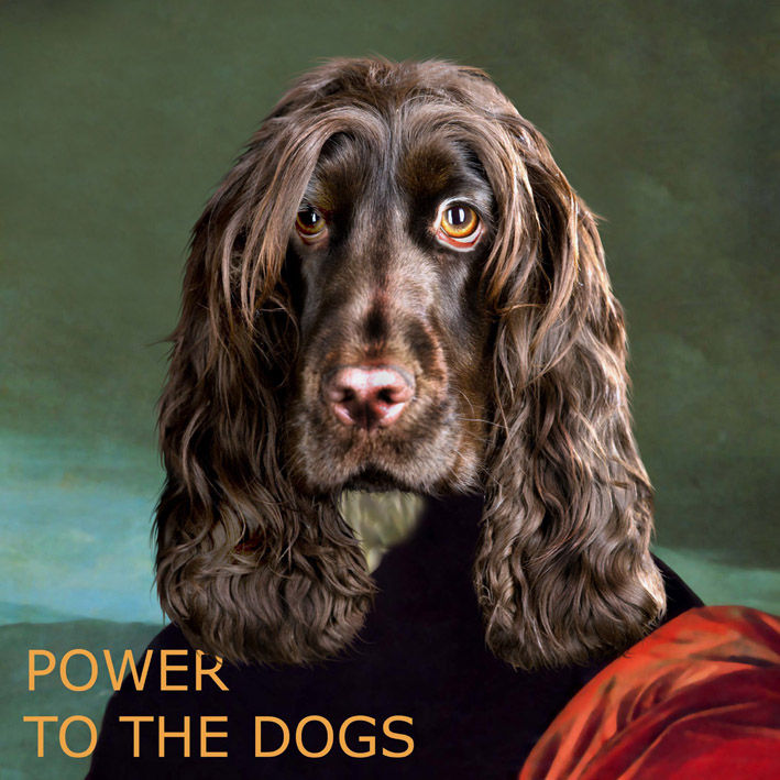 Power To The The Dogs 4