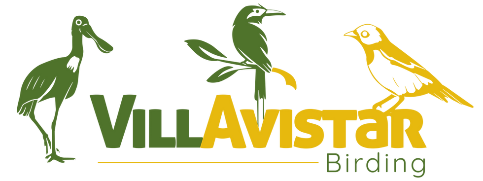 Villa Avistar PNG (1).png