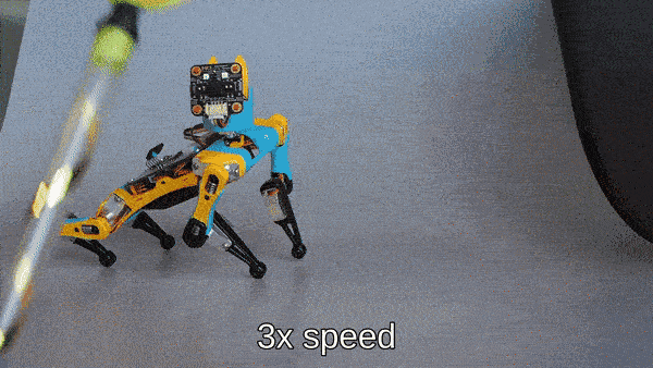 gif dog following object small.gif