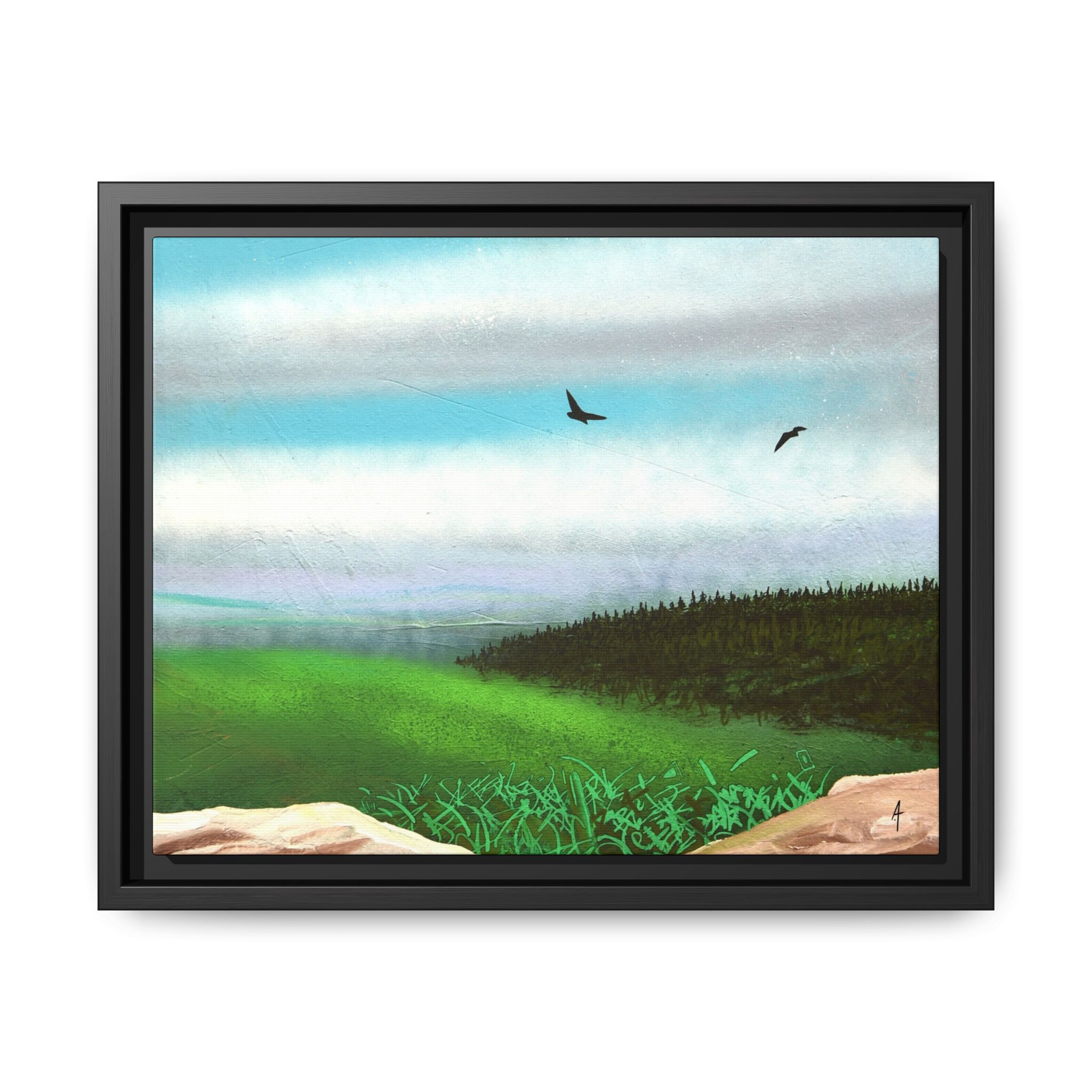 View From Above Print on Canvas (Framed)