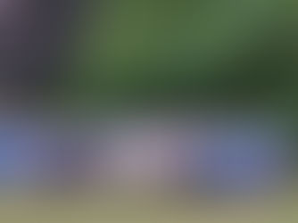 Cheque presentation to Sage House