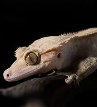 DSC_1484_edited.jpg
