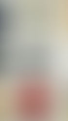 Product imagery of leather jacker, red sweater, yellow sunglasses, and handbags.