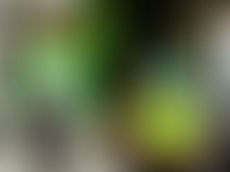 Paris Fashion Week Street Style