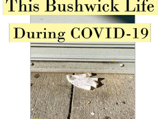 Discarded glove on a sunny sidewalk, metal shutter backdrop. Text: "This Bushwick Life During COVID-19." Pandemic mood.