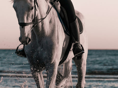 Riding Your High Horse