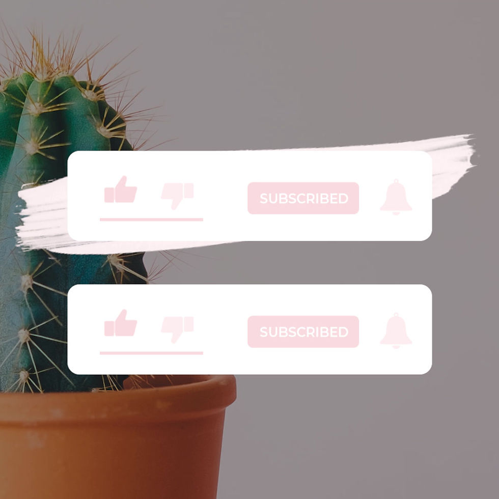 Thumbnail: Subscribe and Instagram Pop Ups | Pink Colour