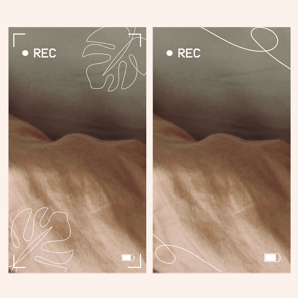 Thumbnail: 6 Reel VHS Borders