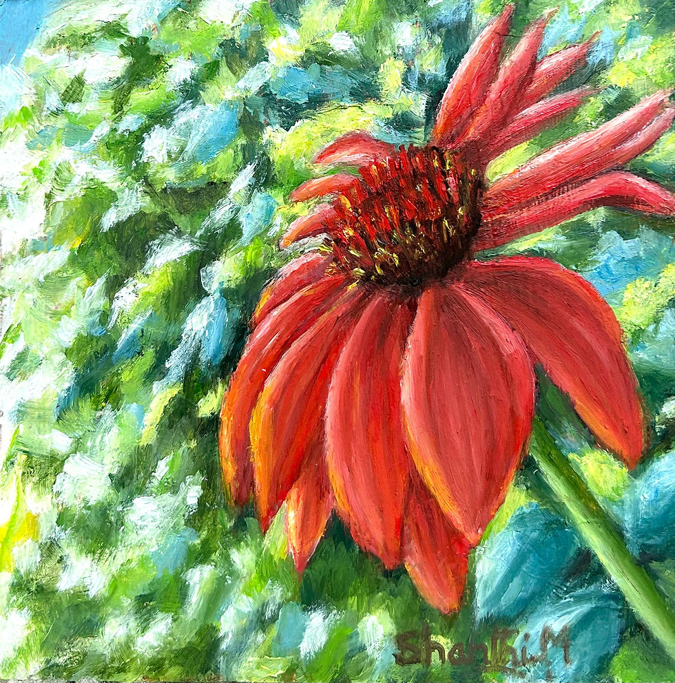 Scarlet Echinacea