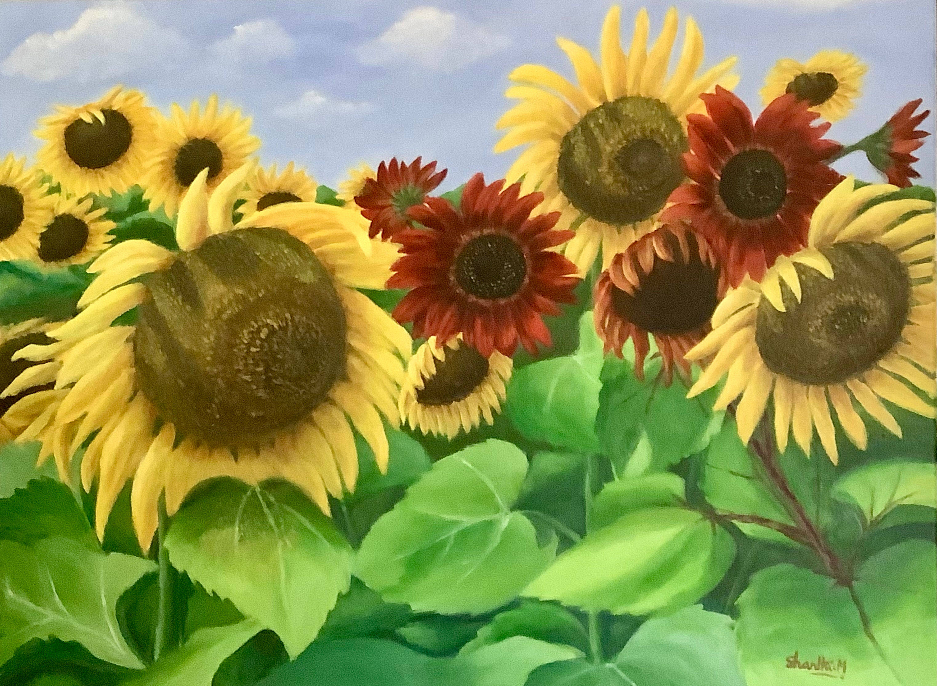 Sunflowers