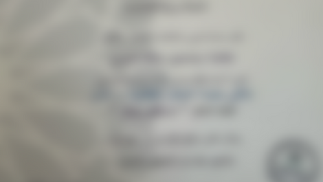 University of sharjah