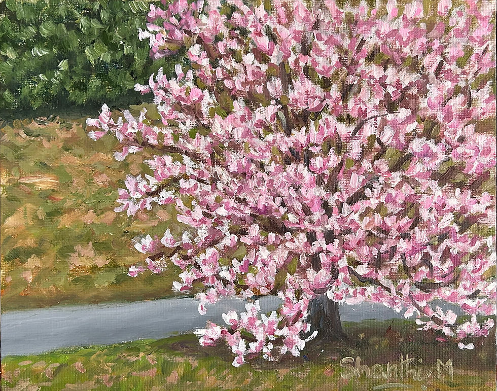 Magnolias