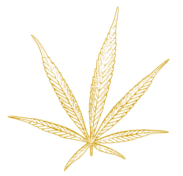 Veritas Fine Cannabis: Denver, CO