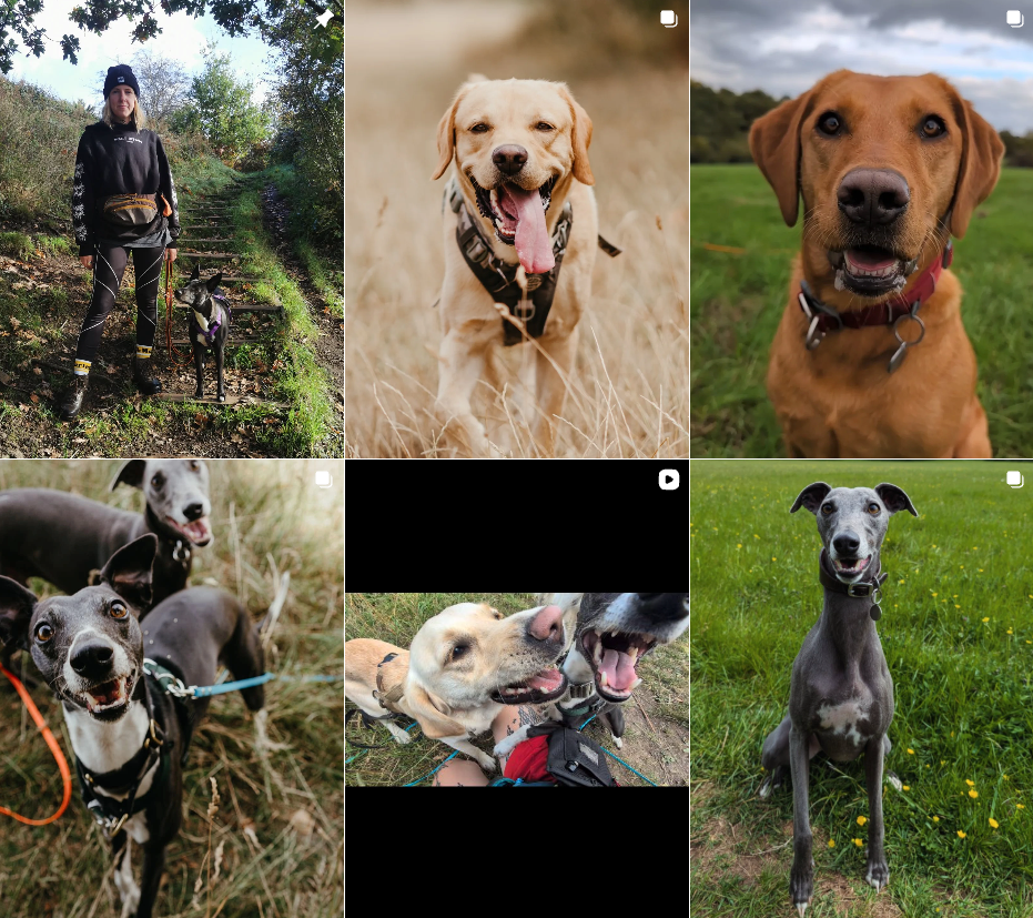 Instagram feed snapshot