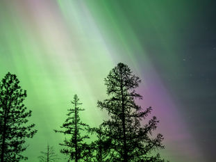 The Cosmic Dance Over Northern Idaho: A Tale of Lights and Laughter
