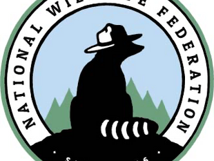 National Wildlife Federation Certifies New Wildlife Habitat Garden in Sagle, ID