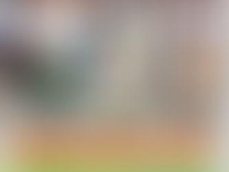 BOLETIM Floresta de Babaçu destaca a inauguração do Centro de Formação