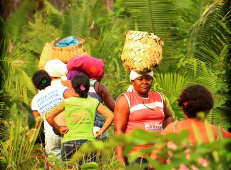 Articulação Tocantinense de Agroecologia realiza a “Semana agroecológica”