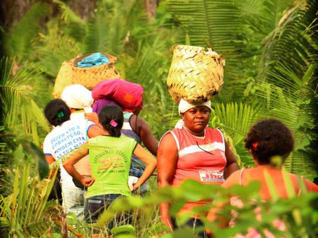 Articulação Tocantinense de Agroecologia realiza a “Semana agroecológica”