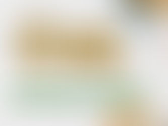 Miqcb lançará Editais do Fundo Babaçu na ordem de R$ 1,8 milhão para apoiar projetos socioambientais