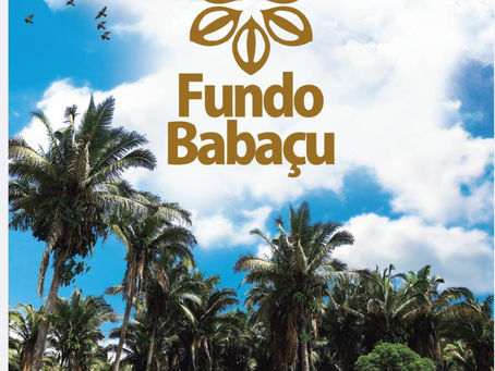 BOLETIM: FUNDO BABAÇU ESTÁ COM EDITAIS ABERTOS!