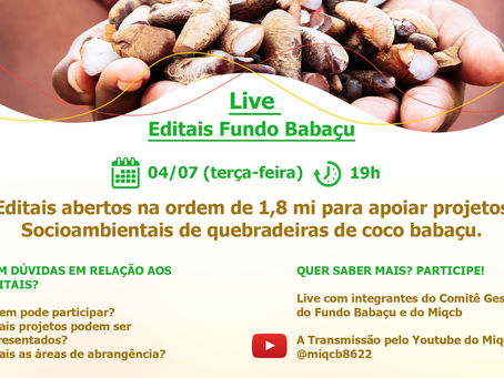 LIVE: Editais do Fundo Babaçu